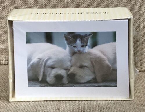 New American Greetings Designers Collection Puppies And Kitten Blank Note Cards - $9.90