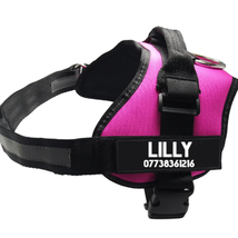 Ultimate Pet Adventure Set: Adjustable Chest Harness With Dog Leash - £18.45 GBP