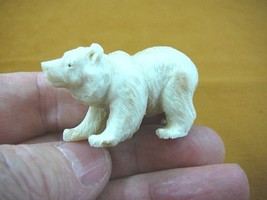 (bear-8) polar Grizzly bear of shed ANTLER figurine Bali detailed carvin... - £55.07 GBP