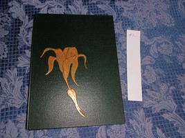 Port Allegany PA Port Allegany High School Yearbook Tiger Lily 1966 #2 - $24.74