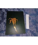 Port Allegany PA Port Allegany High School Yearbook Tiger Lily 1966 #2 - $34.70 CAD