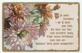 Vintage Postcard Birthday Pink Chrysanthemum Flowers Embossed 1909 Gold Trim - £6.22 GBP