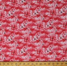 Cotton Flamingos Flamingoes Birds Animals Pink Fabric Print by the Yard D779.87 - $11.95