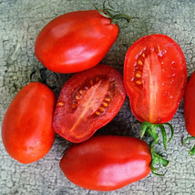 50 + seeds Martino&#39;s Roma Tomato Tomatoe Vegetable Garden Edible Canning From US - £7.10 GBP