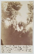 Kilbourn Wisconsin Stand Rock Dells Victorians Posing Under Trees Postcard D28 - £13.33 GBP