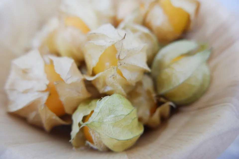 00 Ground Cherry Fruit Seeds | Pineapple Cape Gooseberry (Physalis Ixocarpa) - £6.72 GBP