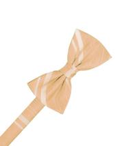 Apricot Striped Satin Kids Bow Tie - £11.97 GBP