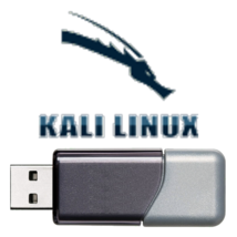 Kali Linux Live Usb BIOS/UEFI Or Custom Distro - £10.32 GBP