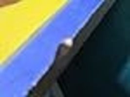 Item image 15