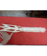 W3-k) 23&quot; Paddlefish skeleton head bill Polyodon spathula spoonbill padd... - £328.21 GBP