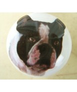 Cabinet Knobs French Bulldog Dog - $7.26 CAD