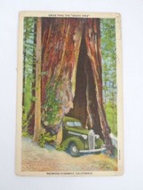 Drive Thru The &quot;Doust Tree&quot; Redwood Highway, California CA Linen Postcard - $4.41