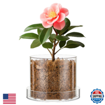 Sunnychicc 5x6" Clear Acrylic Orchid Pot w/ Drainage &amp; Tray for Healthy ... - $37.80