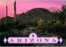 Vast stands of Saguaro Cacti Pink Sky Arizona Postcard  - $4.42