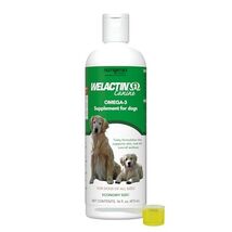 Nutramax Welactin Omega 3 Fish Oil for Dogs, Skin and Coat Health Supple... - $139.45