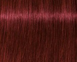 Schwarzkopf Igora Royal 5-88 Light Brown Red Extra Permanent Color Creme... - $11.57