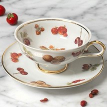 Vintage Royal Hanover Bavaria Germany Cup &amp; Saucer Fruit Botanical - $15.00