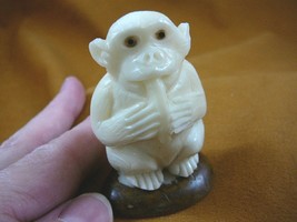 (tne-ape-ch-318d) Chimpanzee monkey ape TAGUA NUT nuts figurine carving Chimp - £20.80 GBP