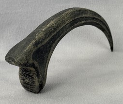 Jurassic Park Velociraptor Claw - Raptor Claw, Fossil, Prop, Hand Painted - $22.98