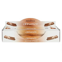 Elements Cinnamon Incense Sticks - $2.97 Elements Cinnamon Incense Sticks - $2.97