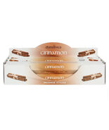 Elements Cinnamon Incense Sticks - $3.00