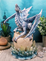 Luna Shylo Arctic Frost Dragon Emerging From Frozen Crystal Egg Hatchling Statue - £51.94 GBP