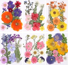eBoot 72 Pcs Dried Pressed Flowers for Resin Molds Real Pressed Flowers ... - £17.90 GBP