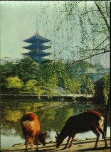 Vintage 3D Lenticular Postcard The Sarusawa Pond Japan - £7.95 GBP