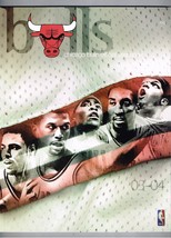2003-04 NBA Chicago Bulls Yearbook Basketball - $34.65