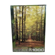 Jigsaw Puzzle Forest Path Trees Nature Landscape Spring Summer Fall 1000 pc New - $24.99