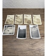 Vintage 1950&#39;s Lot of 7  Photographs Animals Dogs Sheep Horses Cows OOAK... - $16.29 CAD