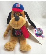 READING PHILLIES Minor League Baseball BLOOPER DOG MASCOT 9&quot; STUFFED ANI... - $274.86 MXN