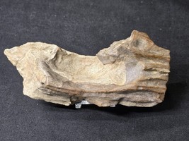 Petrified Wood Log Large Natural Decorative Crystal (08) - $460.83 MXN