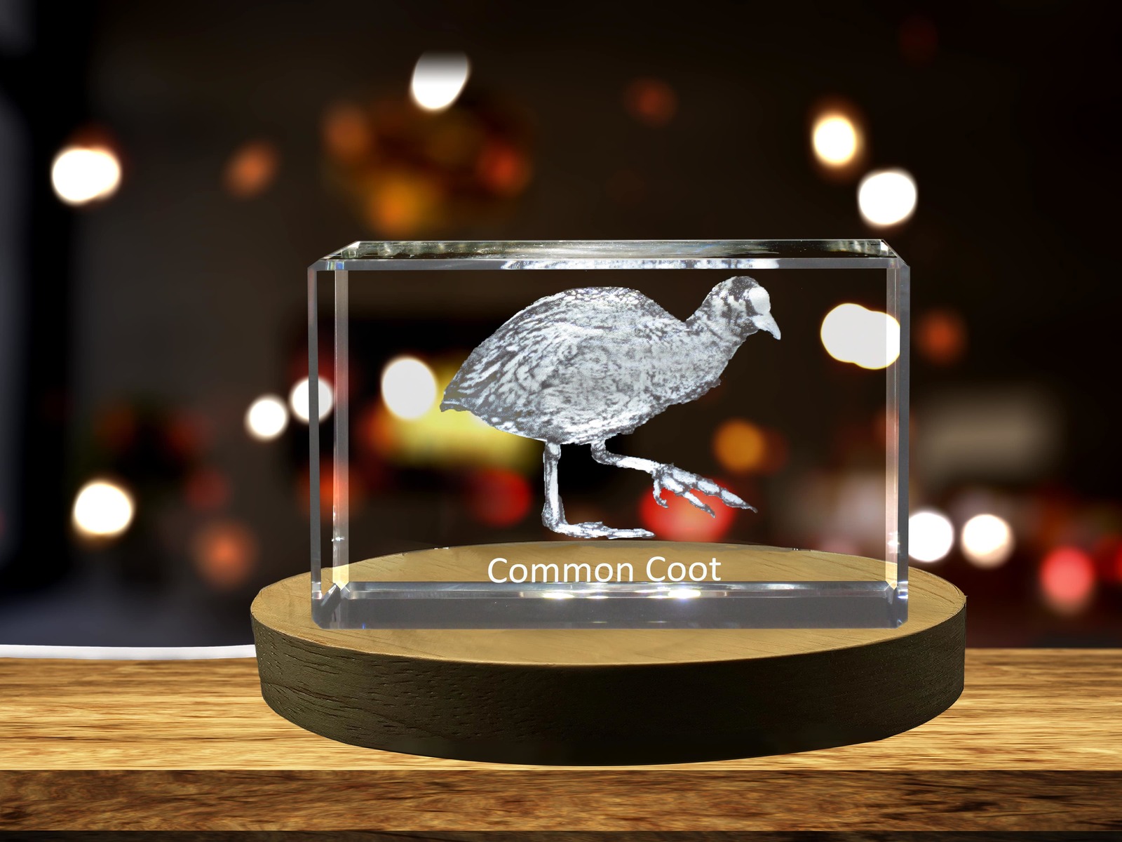 LED Base included | Common Coot 3D Engraved Crystal 3D Engraved Crystal Keepsake