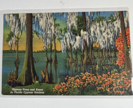 Postcard Cypress Gardens Lake Eloise Winter Haven FL Color Linen Posted 1963 - £4.62 GBP