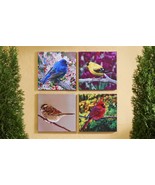 Bird Photo Prints Framed Set of 4 Stretched Canvas and Wood 18&quot; x 18&quot; Ca... - £54.75 GBP