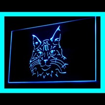 210080B Maine Coon Cat Kitty Tabby Noble Purebred Favorites Skill LED Light Sign - £17.57 GBP