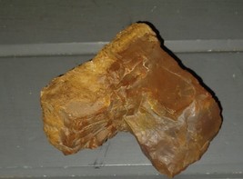 Arizona Rainbow Petrified Wood 10 oz - $15.00