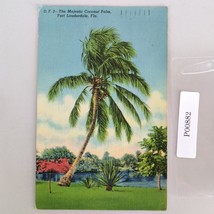 The Majestic Coconut Palm Fort Lauderdale Florida 1940s Linen Postcard 1... - $9.89