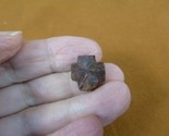 (CR592-105) 9/16&quot; Fairy Stone CHRISTIAN CROSS oiled Staurolite Crystal M... - $14.95