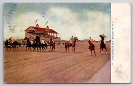 Sheepshead Bay Race Track Brooklyn NY c1910 New York Postcard G50 - $9.95