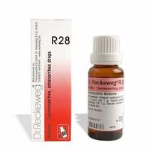 Dr.Reckeweg Germany R28 Drops, Women&#39;s Relief from Irregular Bleeding, Dysmenorr - £11.13 GBP
