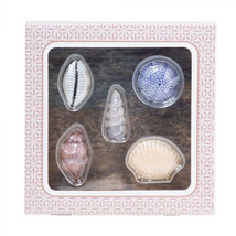 Decorative Diffuser Topper (Set of 5) - Seashells - $39.28