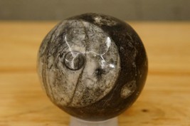 Wicca Reiki Healing Magic 2-1/4&quot; Sphere Ball Orthoceras Fossil Gemstone - £22.20 GBP