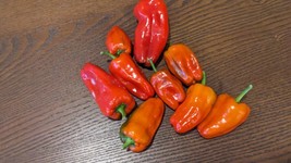 Item image 1