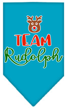 Team Rudolph Screen Print Bandana Turquoise Size Large - £9.06 GBP