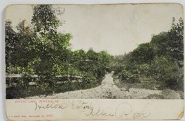 Waverly Iowa Lovers Lane 1908 udb Postcard T14 - £2.37 GBP