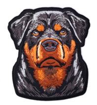 Rottweiler Iron On Embroidered Patch 3 1/2&quot;x 4&quot; Great Detail! - £4.78 GBP