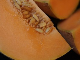 70 Day Cantaloupe! Heirloom NON-GMO 100+ seeds  - £6.69 GBP