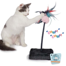 Chirping Teaser Toy for Cats by Cat Is Good - £18.63 GBP